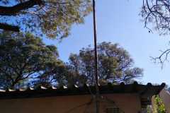 WhatsApp-Image-2025-05-23-at-10.27.14_cccf739a