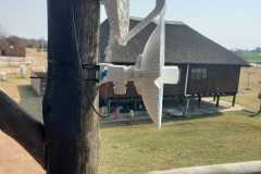 WhatsApp-Image-2025-08-15-at-10.21.28_9e78229e