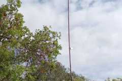 WhatsApp-Image-2025-09-30-at-09.10.08_9ad31dbd