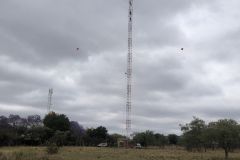 d071abc3-6941-4244-99e3-d5183f8c6f9e